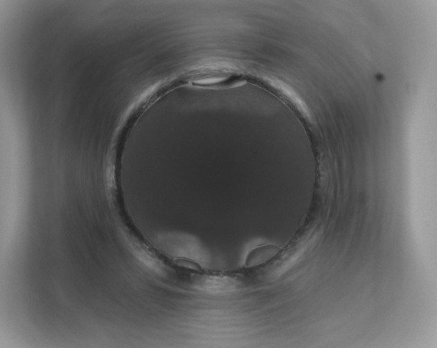 X0000111590399200907301430