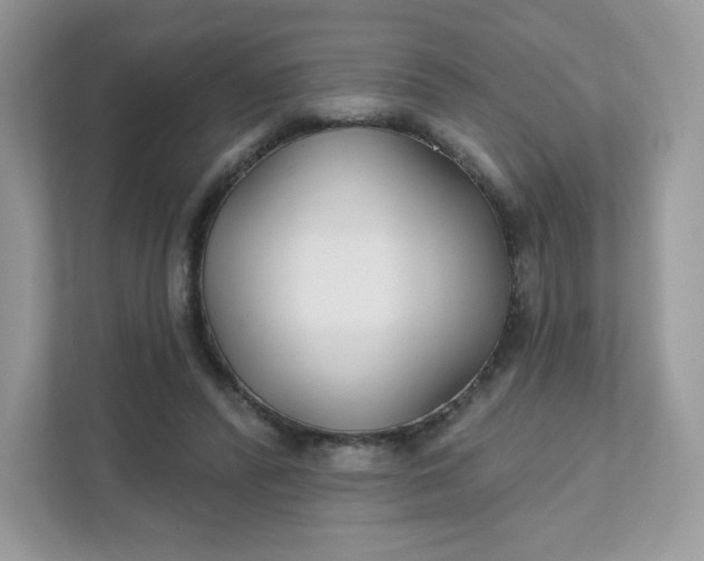 X0000111590400200907301430