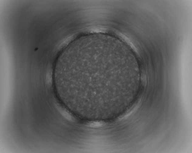 X0000111590402200907301430