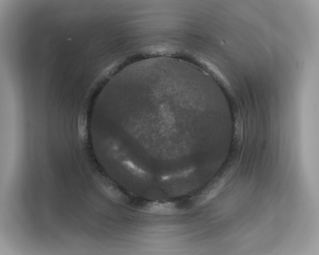 X0000111590403200907301430