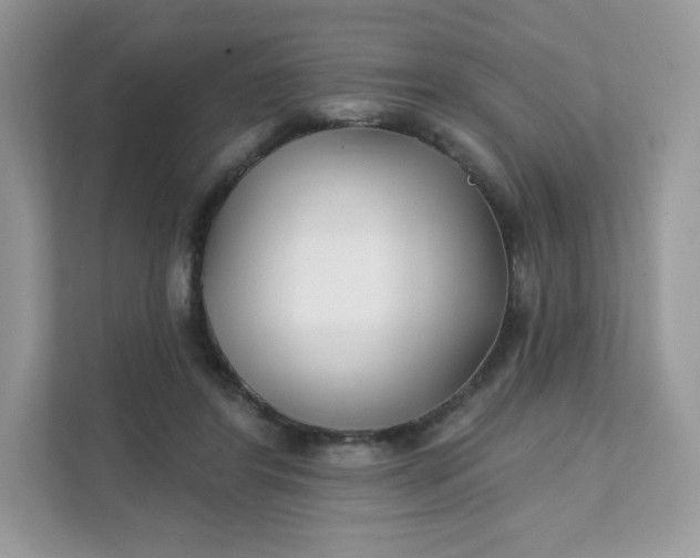 X0000111590404200907301430