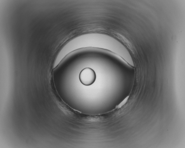 X0000111590405200907301430