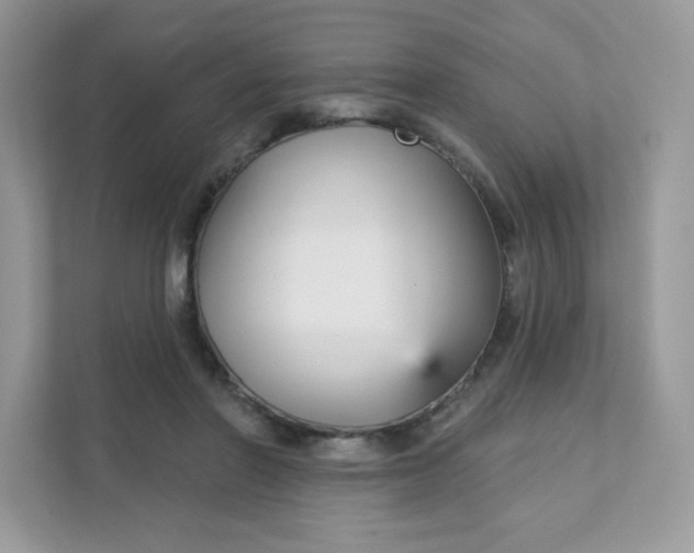 X0000111590406200907301430