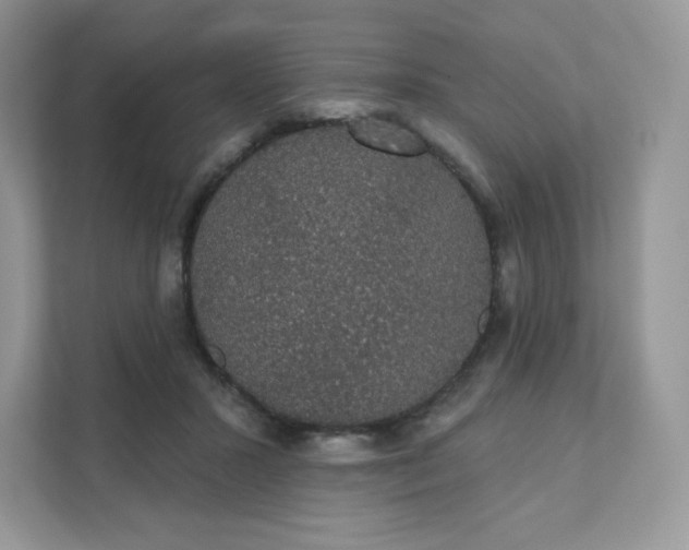 X0000111590407200907301430