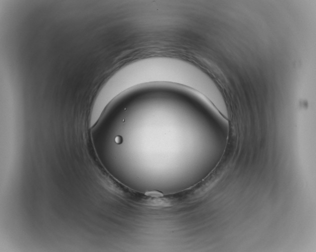 X0000111590409200907301430