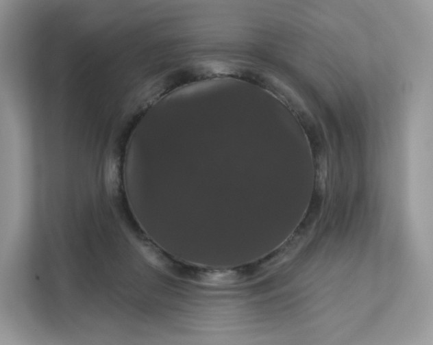 X0000111590410200907301430