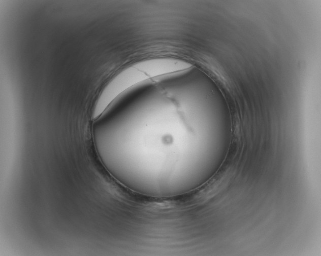 X0000111590411200907301430