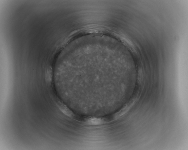 X0000111590413200907301430