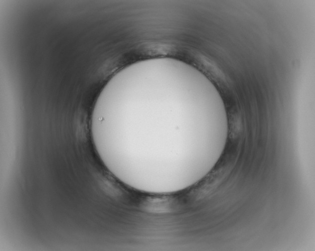 X0000111590414200907301430