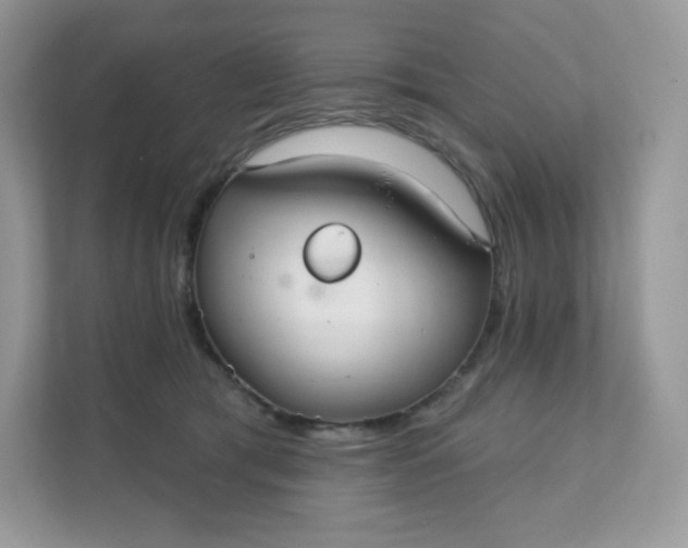 X0000111590417200907301430