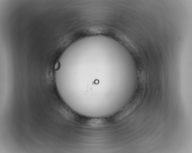 X0000111590418200907301430