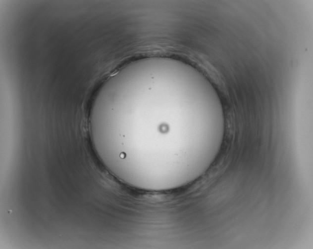 X0000111590419200907301430