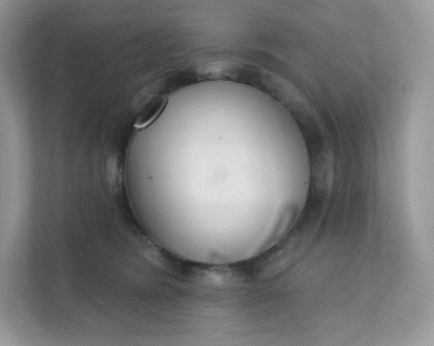 X0000111590420200907301430