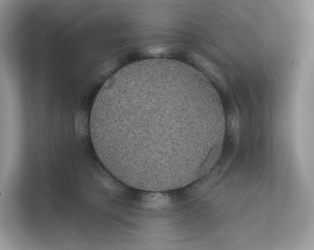 X0000111590421200907301430