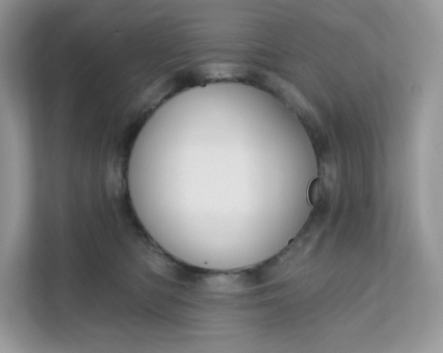 X0000111590422200907301430