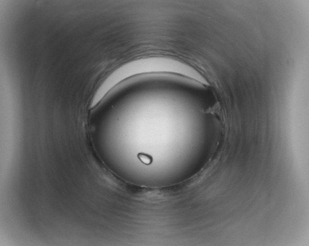 X0000111590423200907301430