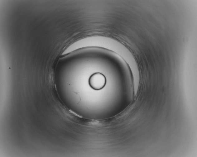 X0000111590425200907301430