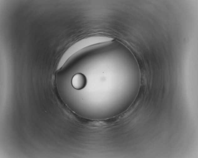 X0000111590427200907301430