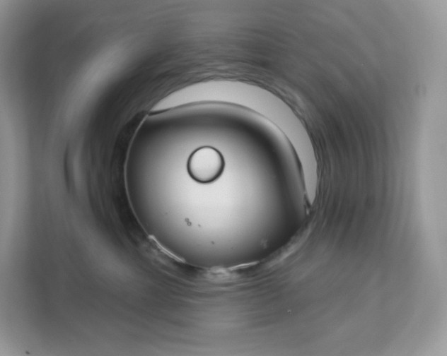 X0000111590429200907301430