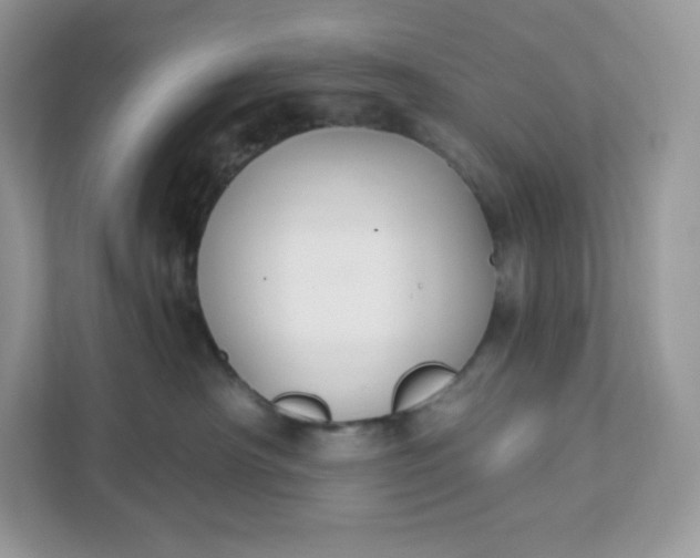 X0000111590430200907301430