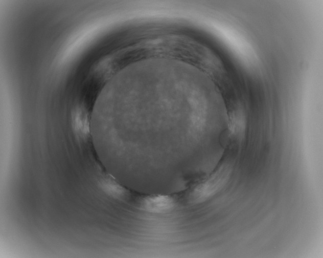 X0000111590431200907301430