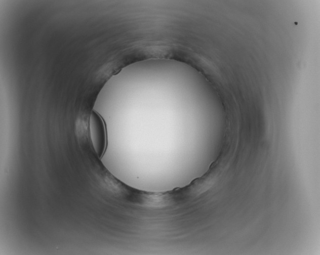 X0000111590432200907301430