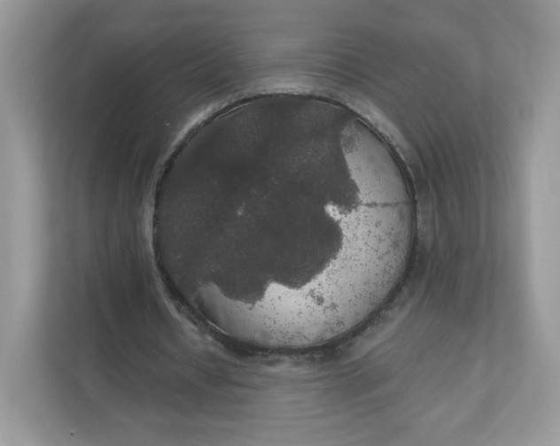 X0000111590434200907301429