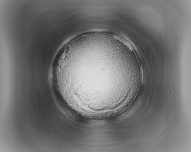 X0000111590435200907301429