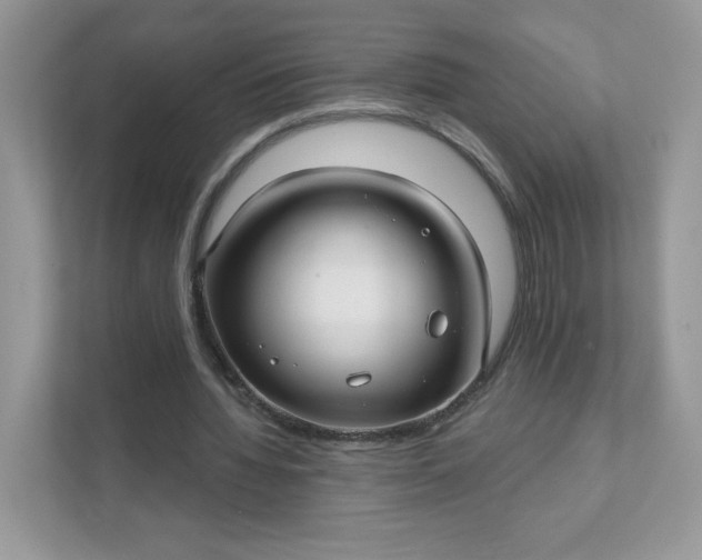 X0000111590436200907301429