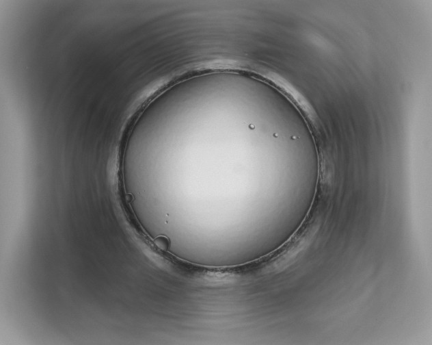 X0000111590437200907301429