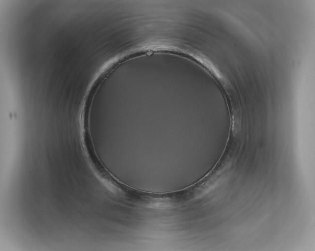 X0000111590438200907301429