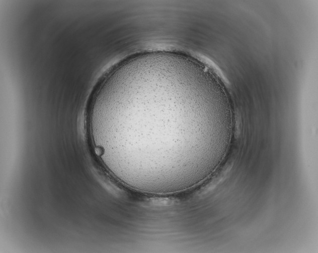 X0000111590439200907301429