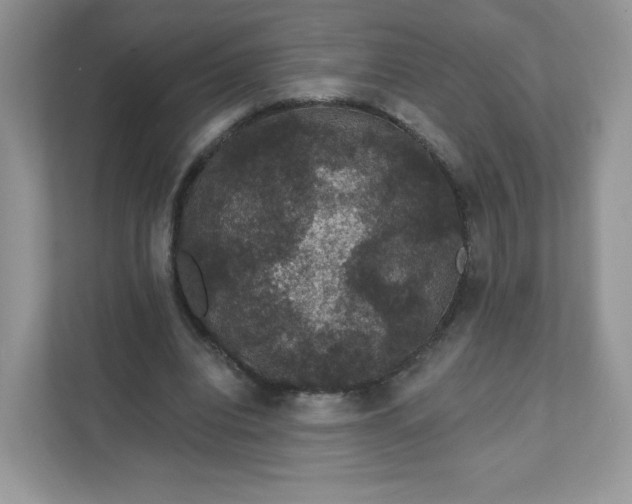 X0000111590440200907301429