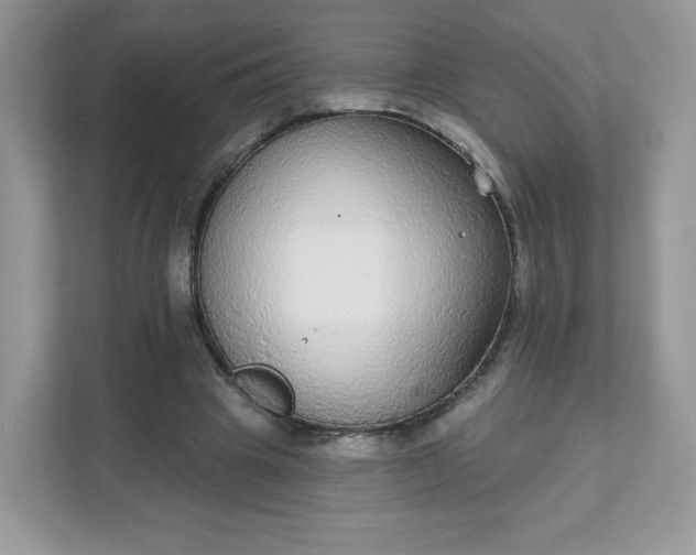 X0000111590441200907301429