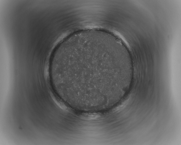 X0000111590443200907301429