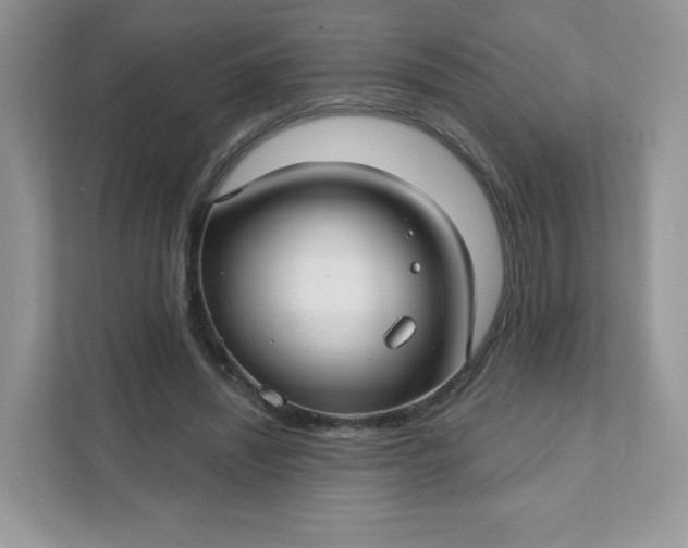 X0000111590444200907301429