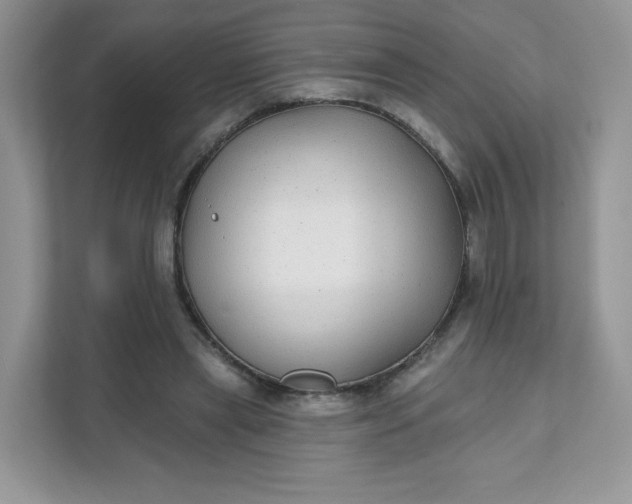 X0000111590445200907301429