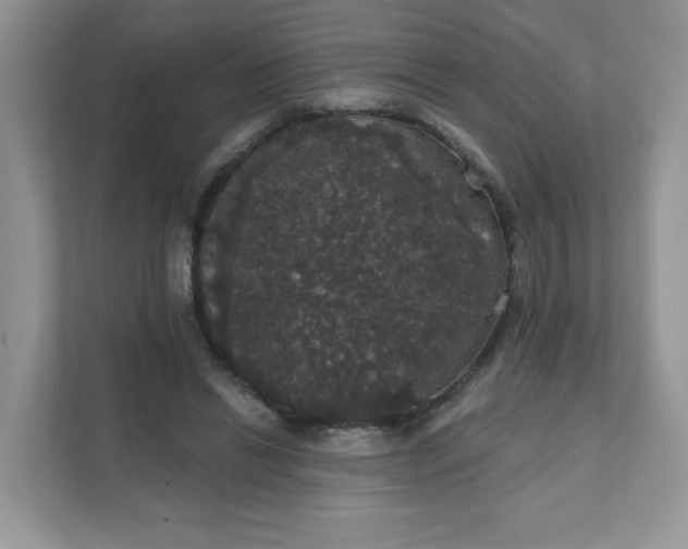 X0000111590446200907301429