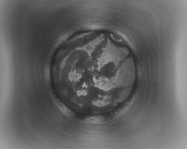 X0000111590447200907301429