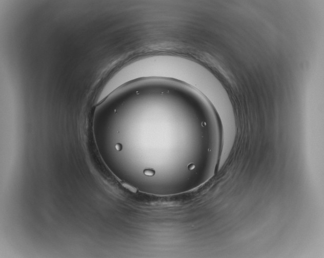 X0000111590448200907301429