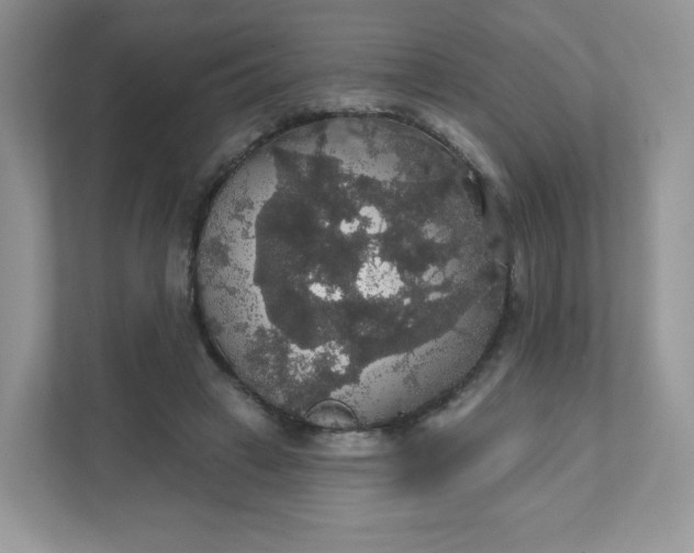 X0000111590449200907301429