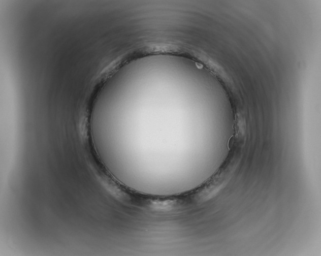 X0000111590450200907301429