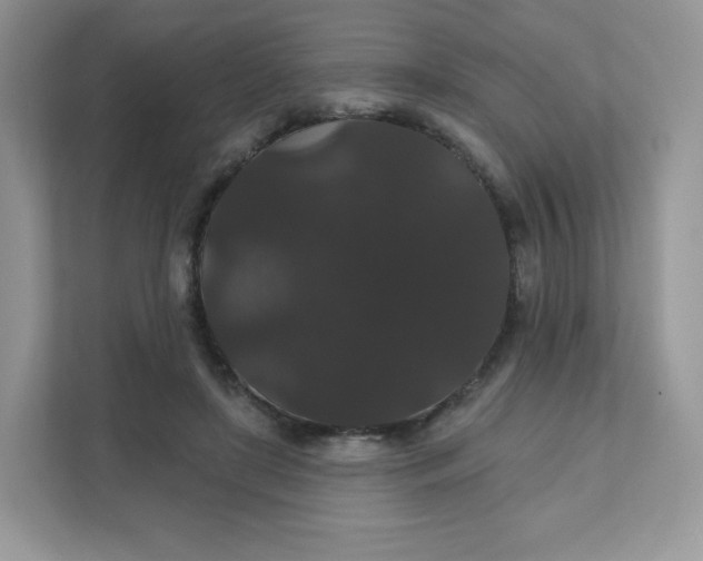 X0000111590451200907301429