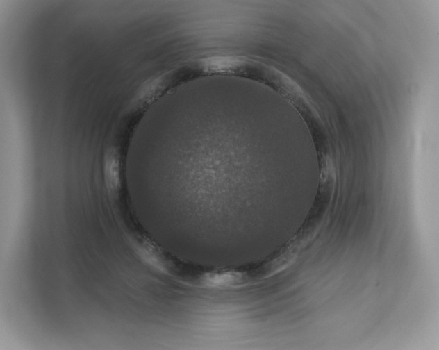 X0000111590452200907301429