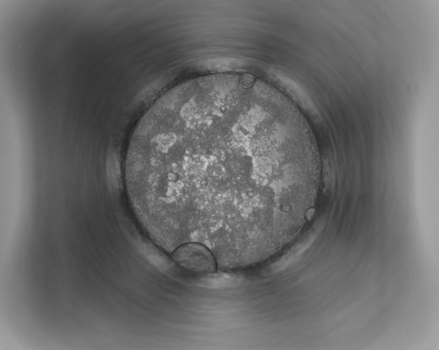 X0000111590453200907301429