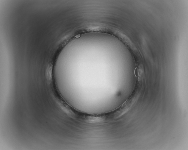 X0000111590454200907301429