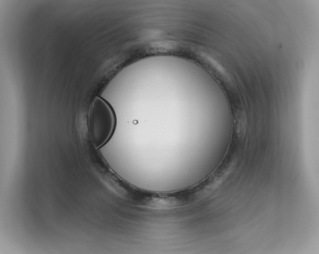 X0000111590455200907301429