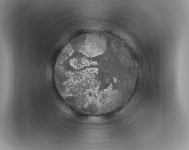 X0000111590457200907301430