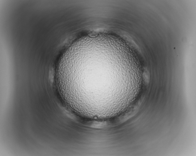 X0000111590458200907301430