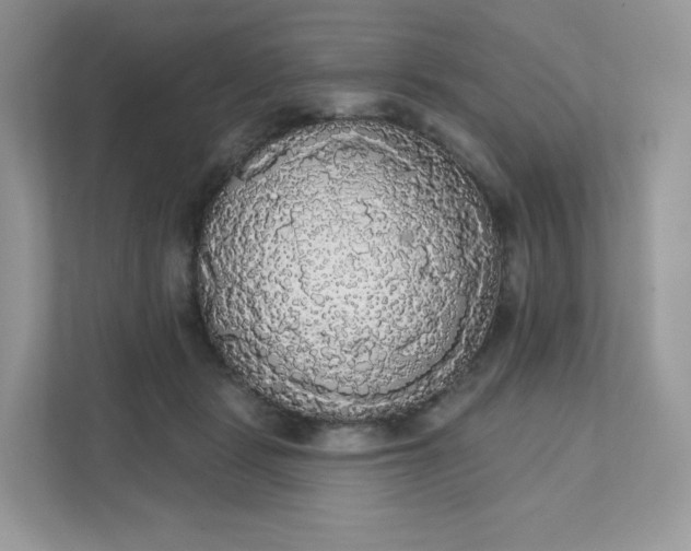 X0000111590461200907301430